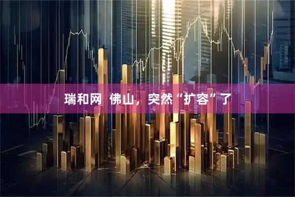 瑞和网  佛山，突然“扩容”了